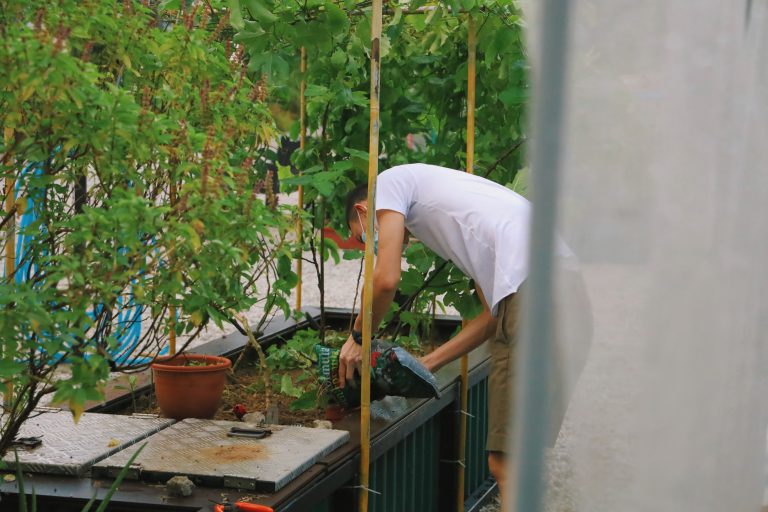 Sowing the Seeds of Change: How Urban Farming is Transforming Agriculture