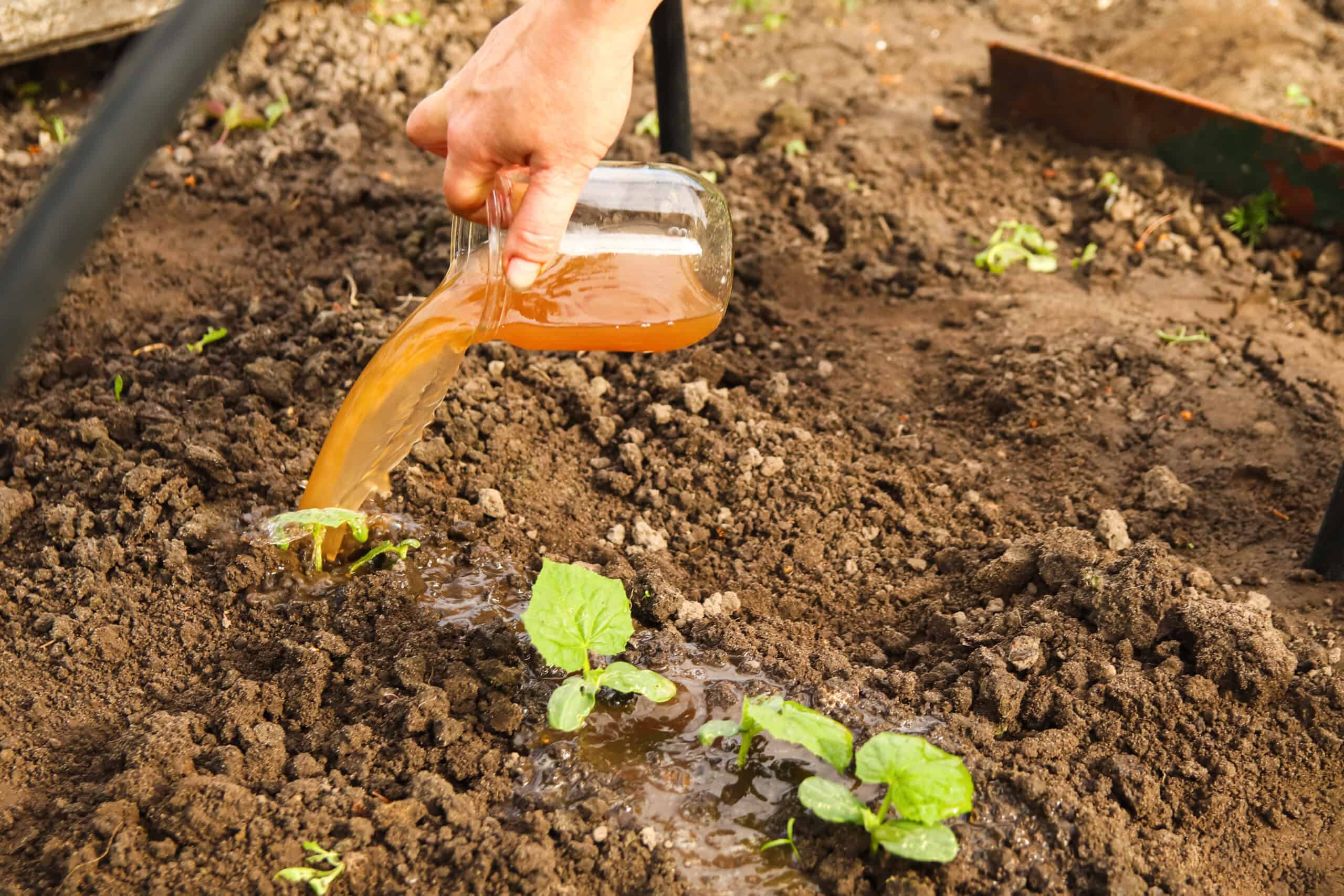 liquid fertilizer