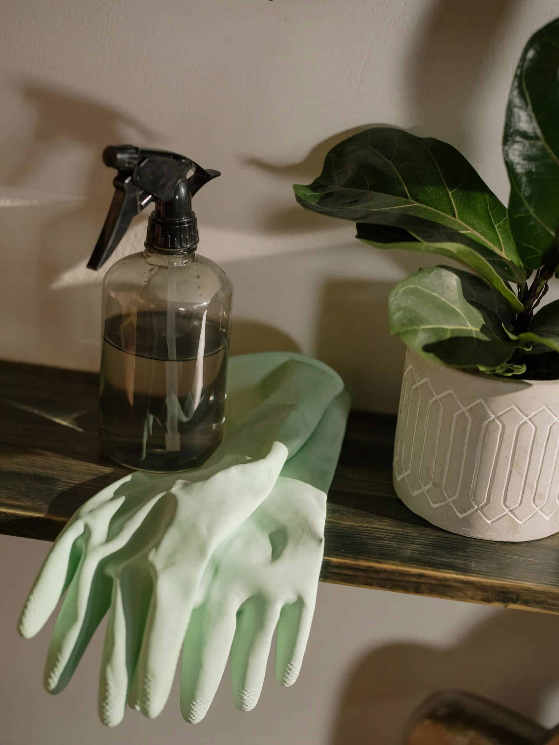 Eco-friendly Living: DIY Natural All-Purpose Cleaner