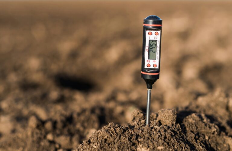 Understanding Soil pH and Its Impact on Plant Growth