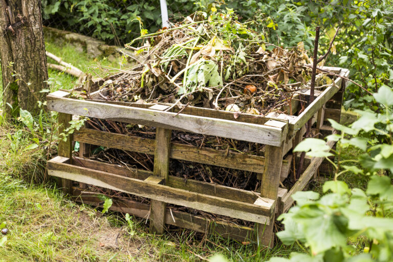 compost with fall leaves